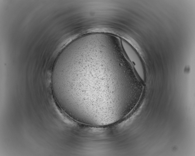 X0000092010849200709201529