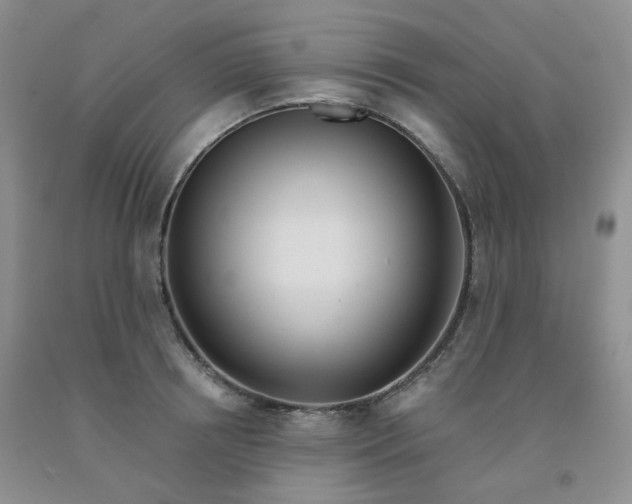 X0000092010850200709201529