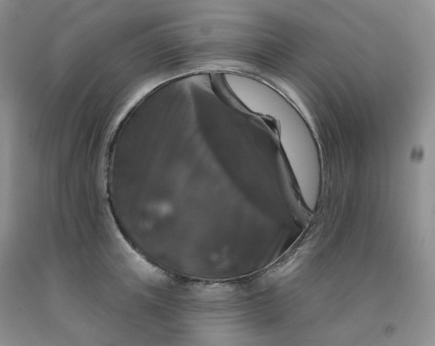 X0000092010851200709201529
