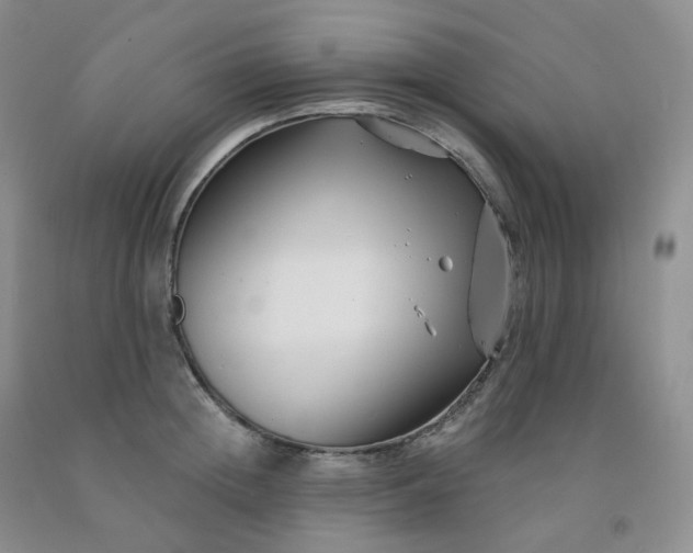 X0000092010852200709201529