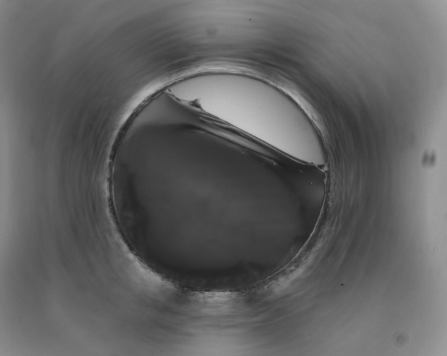 X0000092010853200709201529
