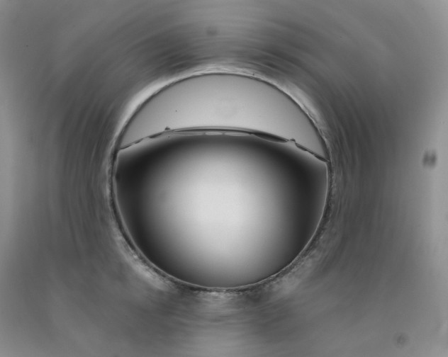 X0000092010854200709201529