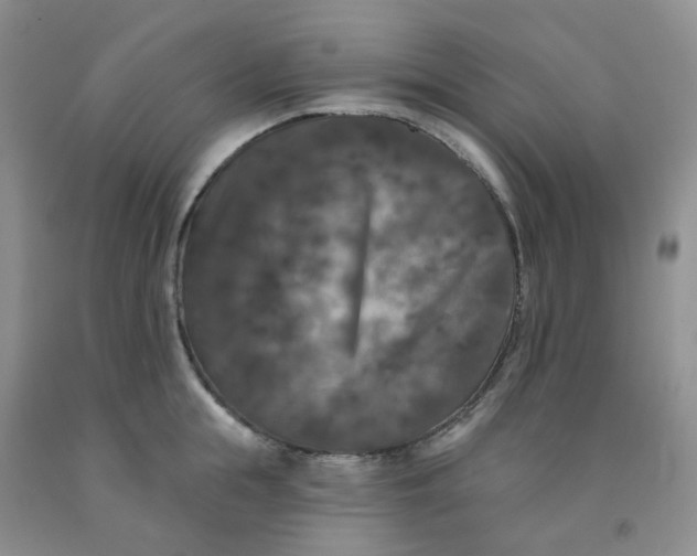 X0000092010855200709201529