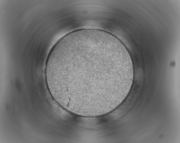 X0000092010856200709201529