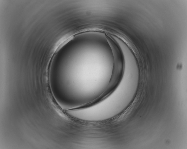 X0000092010858200709201529