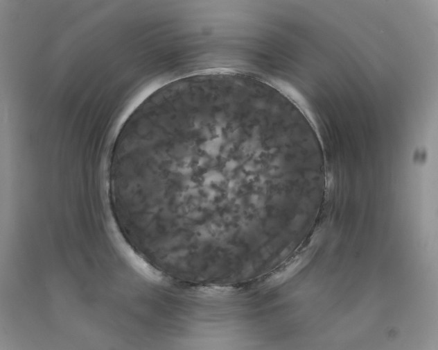 X0000092010859200709201529