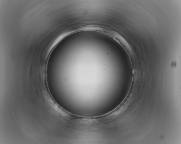 X0000092010860200709201529