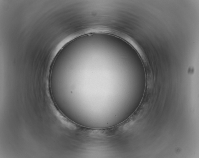 X0000092010861200709201529