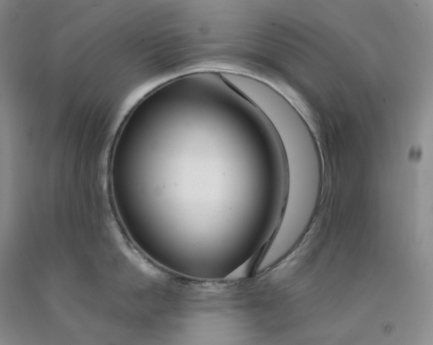 X0000092010862200709201529