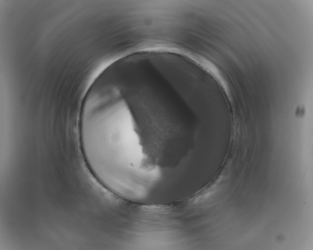 X0000092010863200709201529