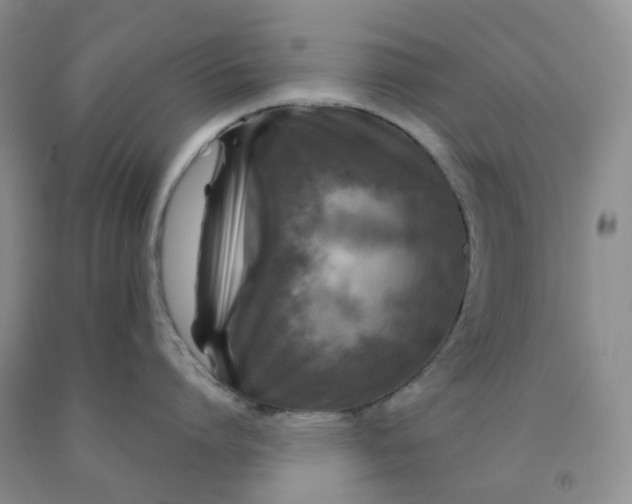 X0000092010864200709201529