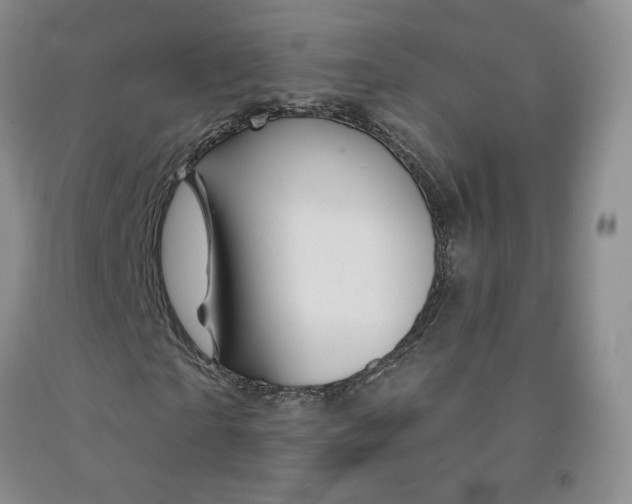 X0000092010865200709201528