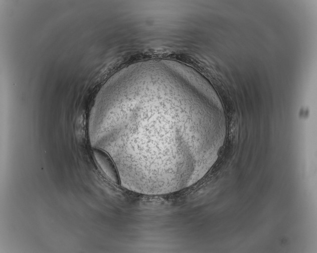 X0000092010866200709201528