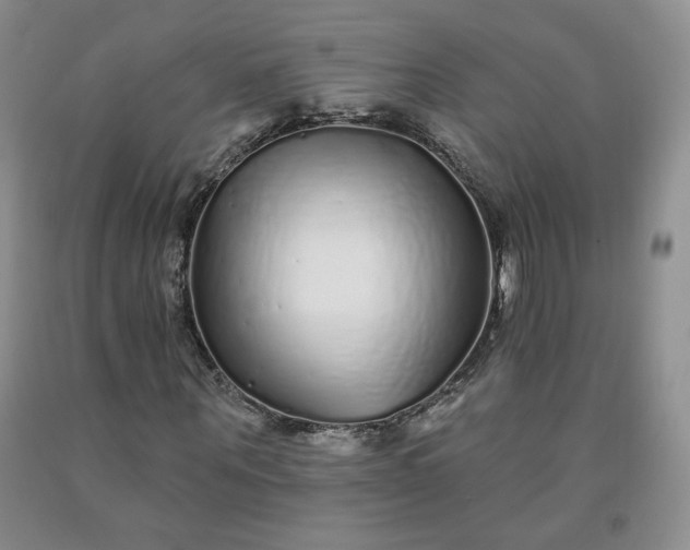 X0000092010867200709201528