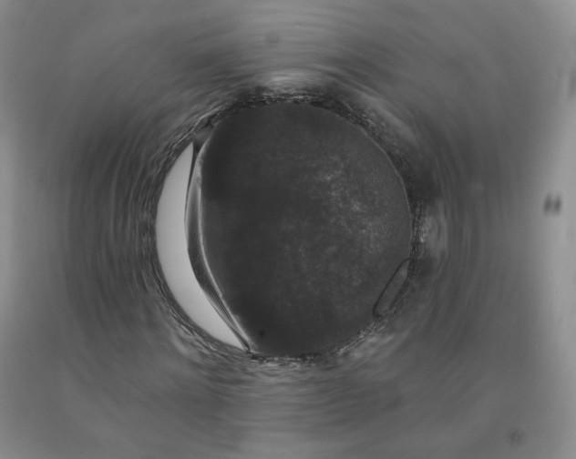 X0000092010868200709201528