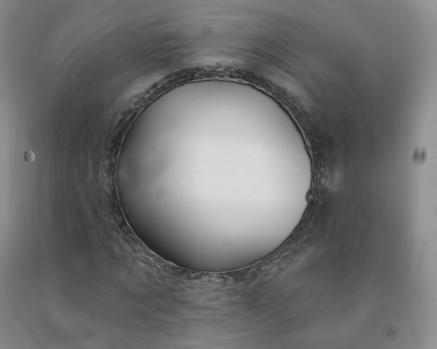 X0000092010869200709201528