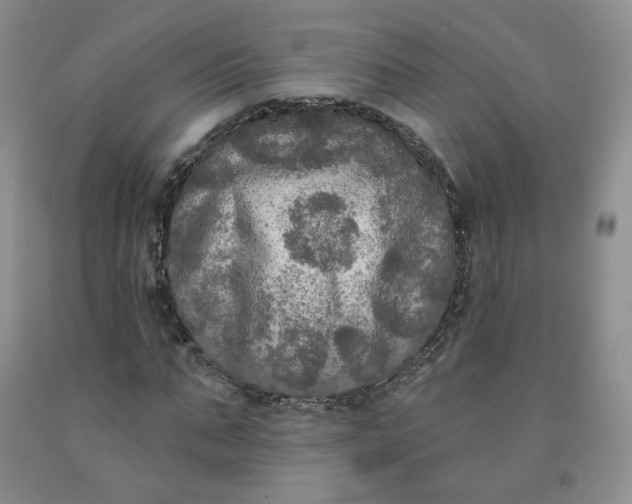 X0000092010871200709201528