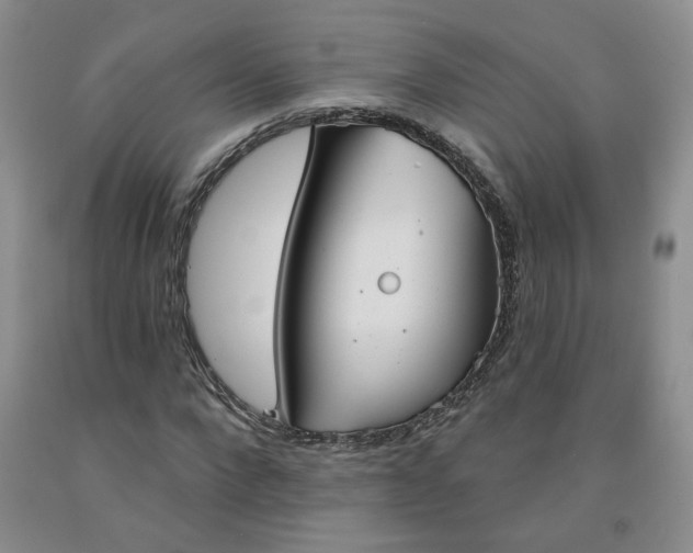 X0000092010872200709201528
