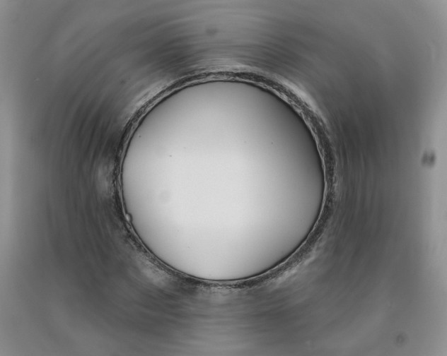 X0000092010873200709201528