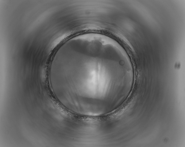 X0000092010874200709201528