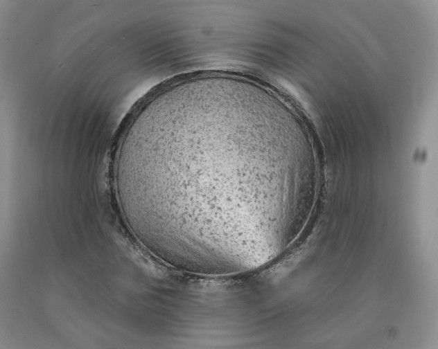 X0000092010875200709201528