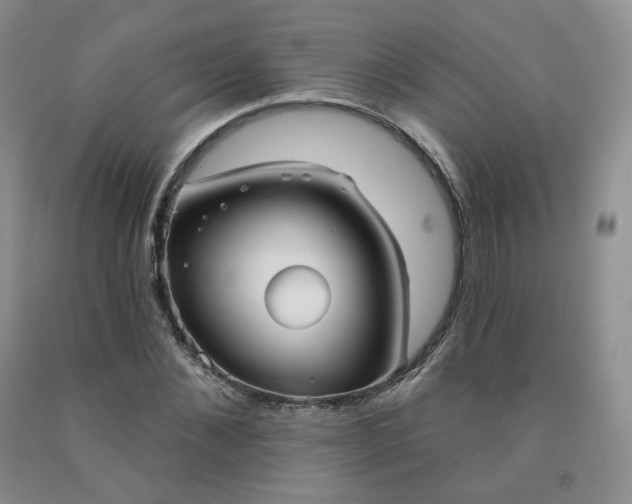 X0000092010876200709201528