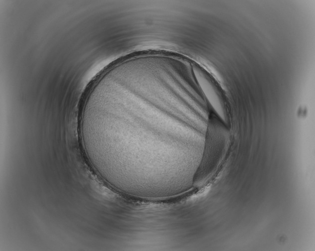 X0000092010877200709201528