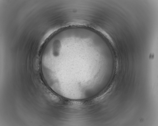 X0000092010878200709201528