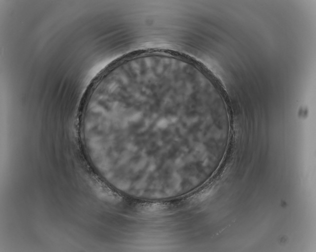 X0000092010879200709201528