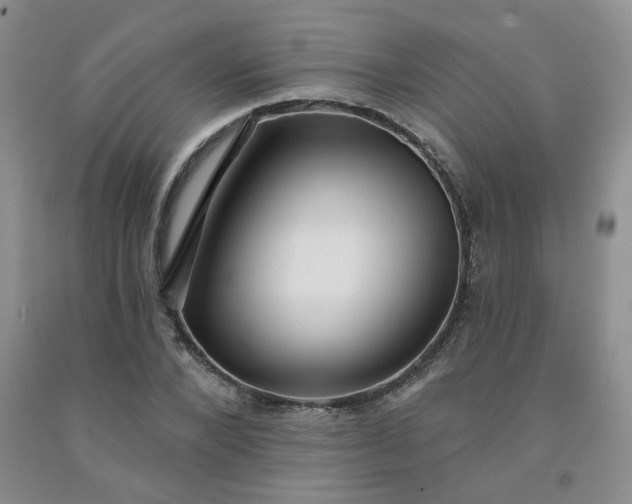 X0000092010880200709201528