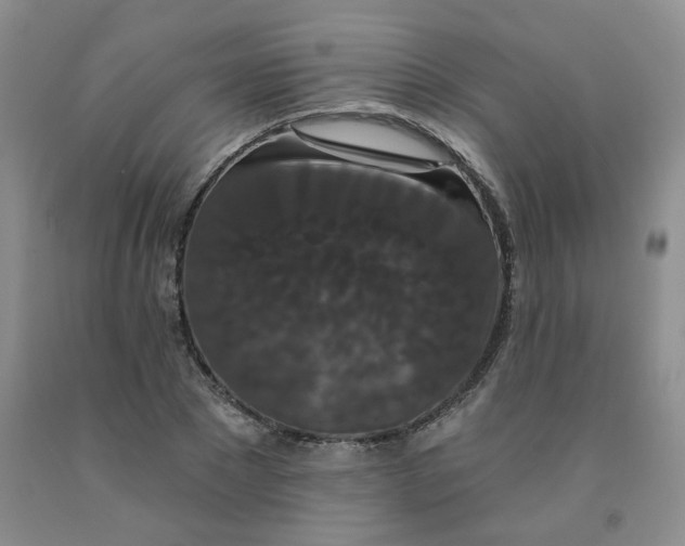 X0000092010881200709201528