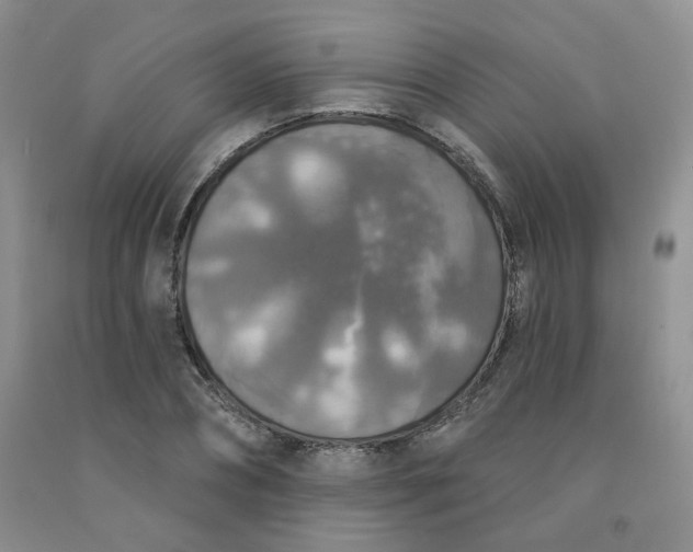 X0000092010882200709201528