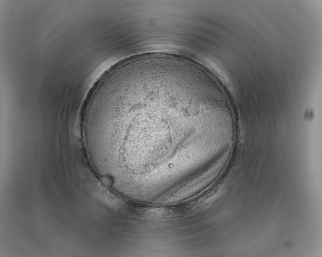 X0000092010883200709201528