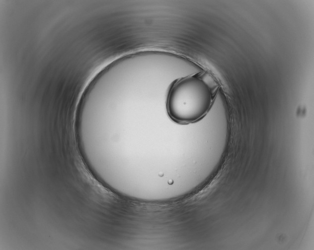X0000092010884200709201528
