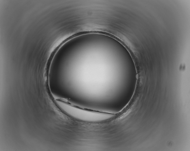 X0000092010885200709201528