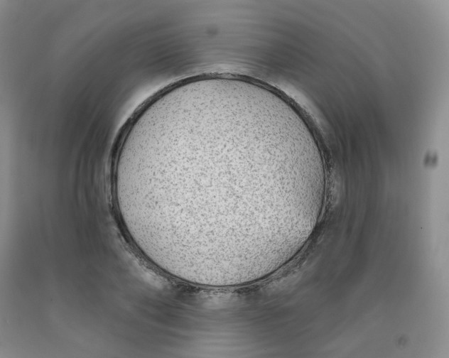X0000092010886200709201528