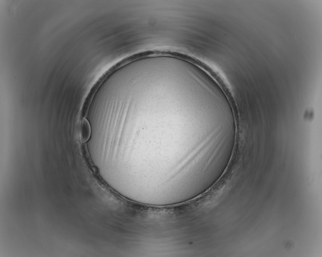 X0000092010887200709201528