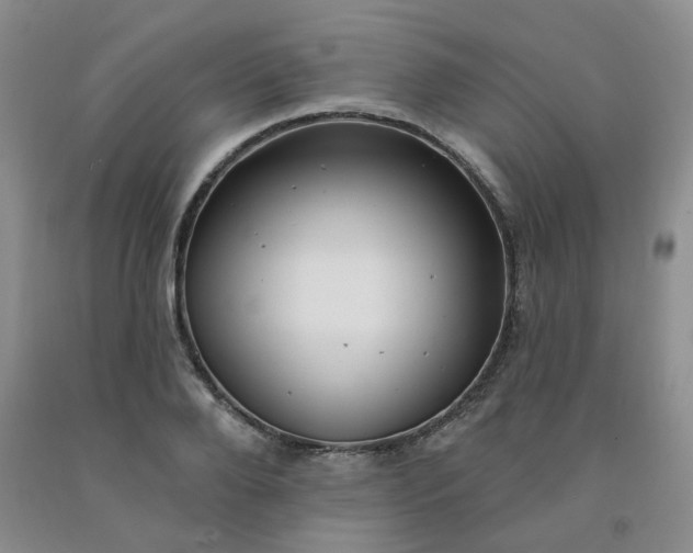X0000092010888200709201528
