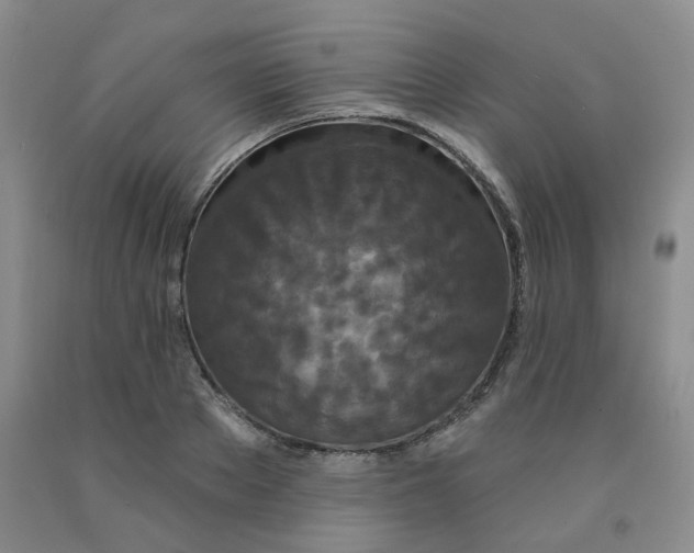 X0000092010889200709201528