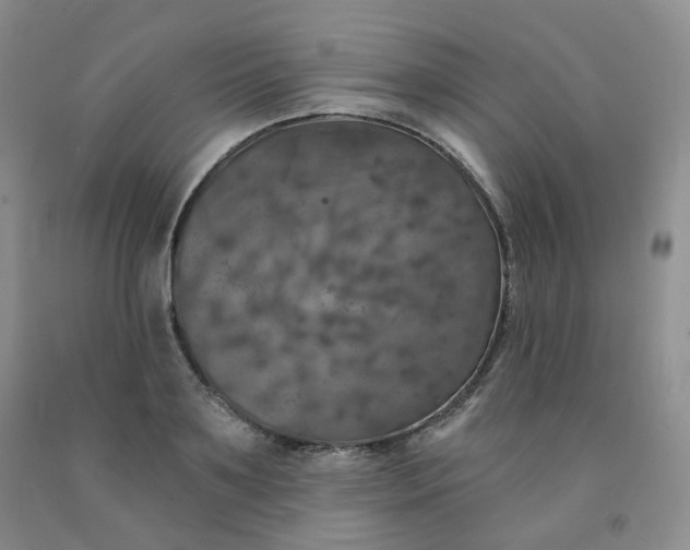 X0000092010891200709201528
