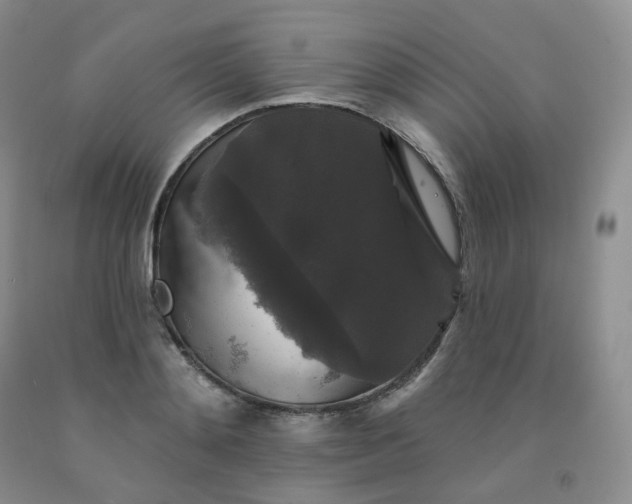 X0000092010892200709201528
