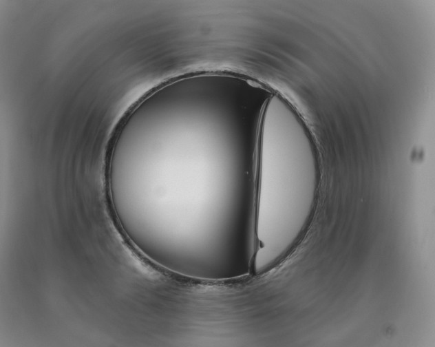 X0000092010894200709201528