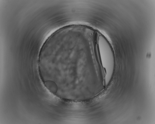 X0000092010895200709201528