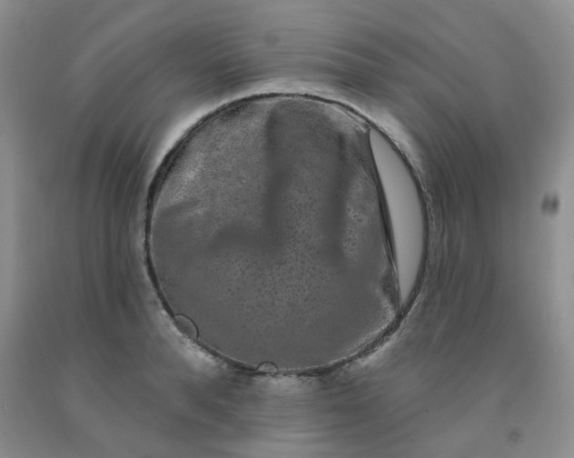 X0000092010896200709201528
