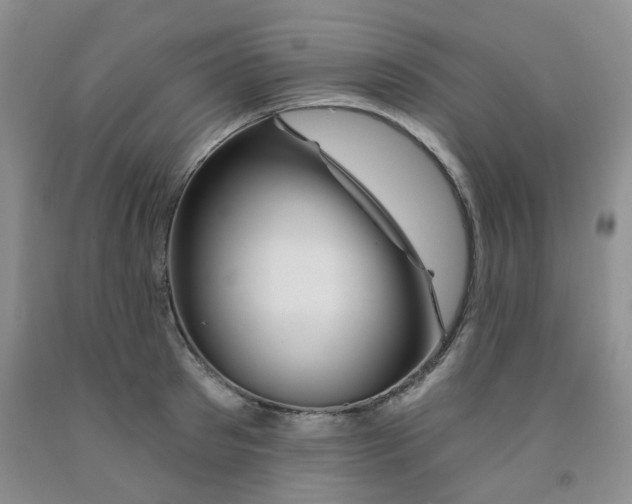 X0000092010897200709201528
