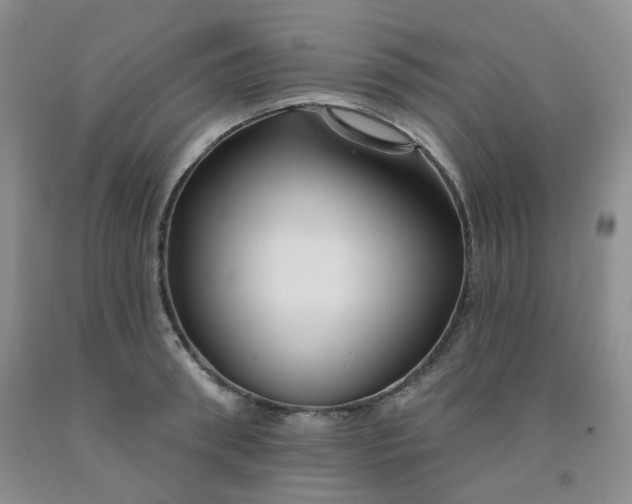 X0000092010898200709201528