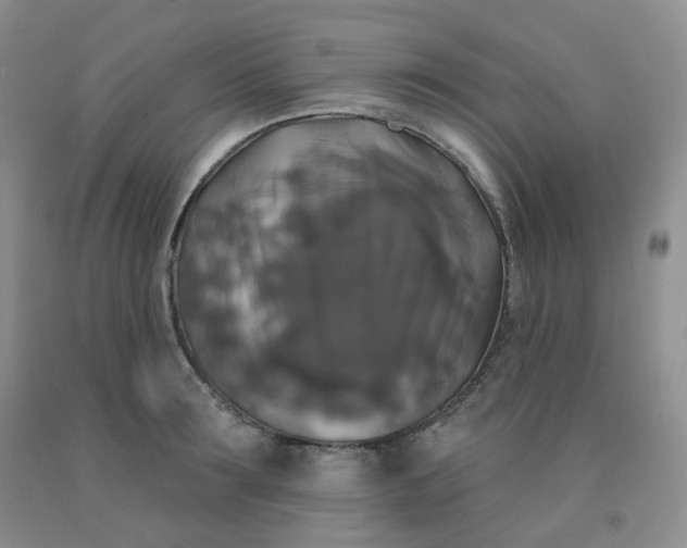 X0000092010899200709201528