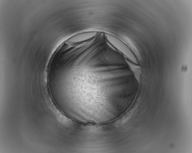 X0000092010900200709201528