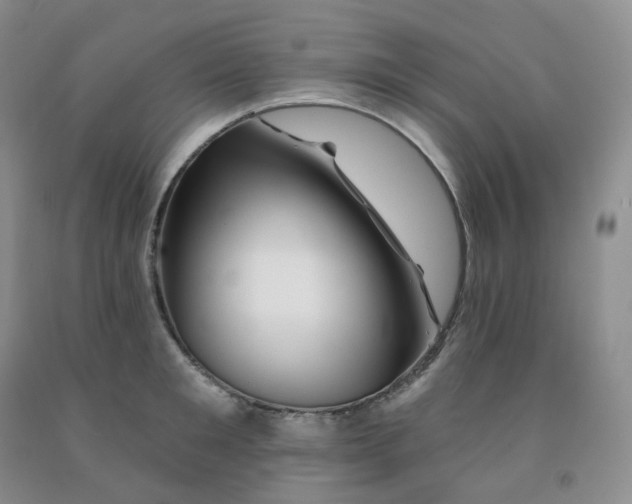 X0000092010901200709201528