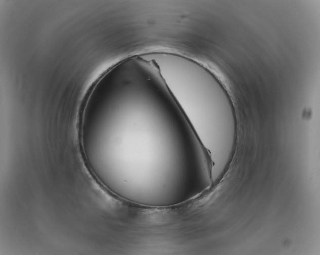 X0000092010902200709201528